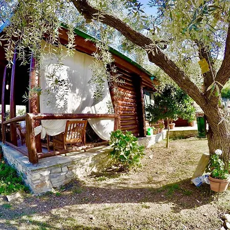365 Private Log House *