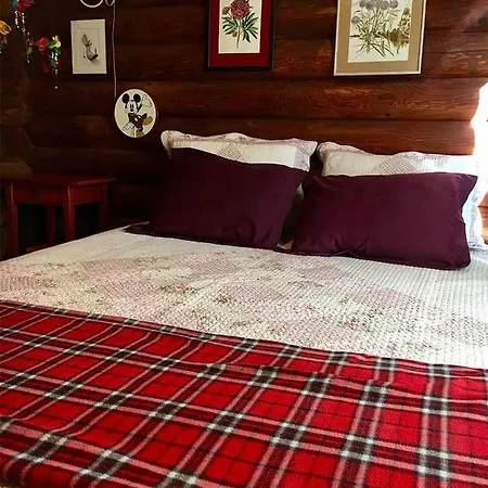 365 Private Log House Villa *