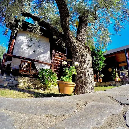 365 Private Log House