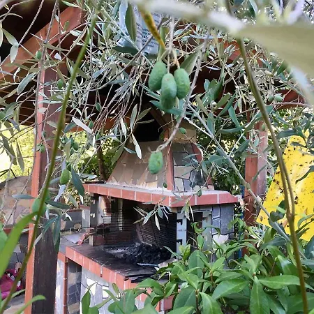Villa 365 Private Log House Agios Georgios (Thasos)