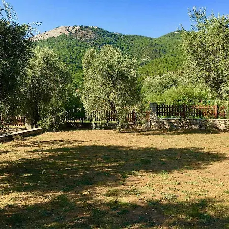 Villa 365 Private Log House